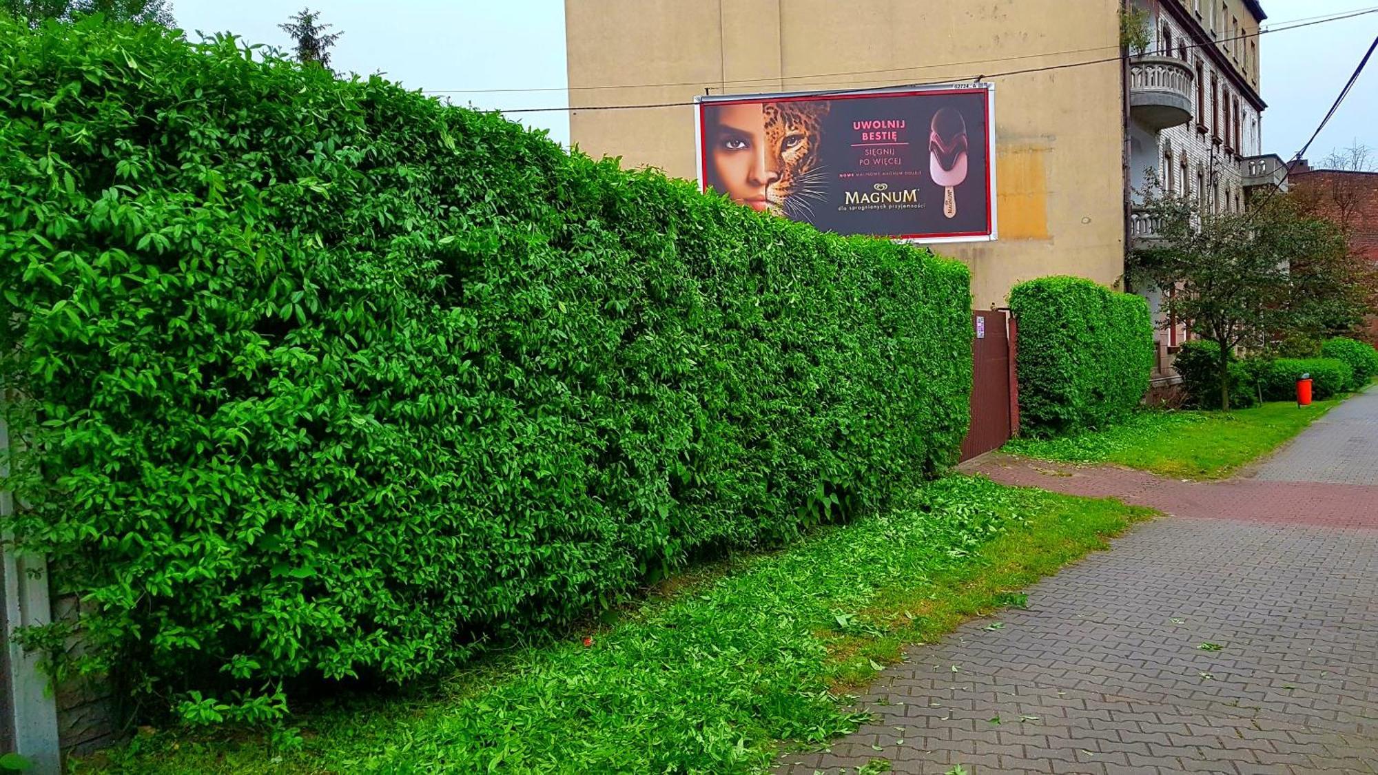 Apartament Park Slaski Katowice Eksteriør bilde